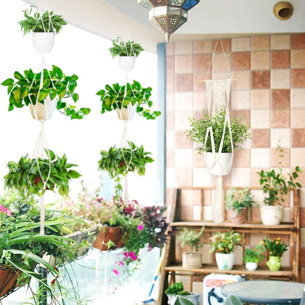 group of plants advertising new years sale