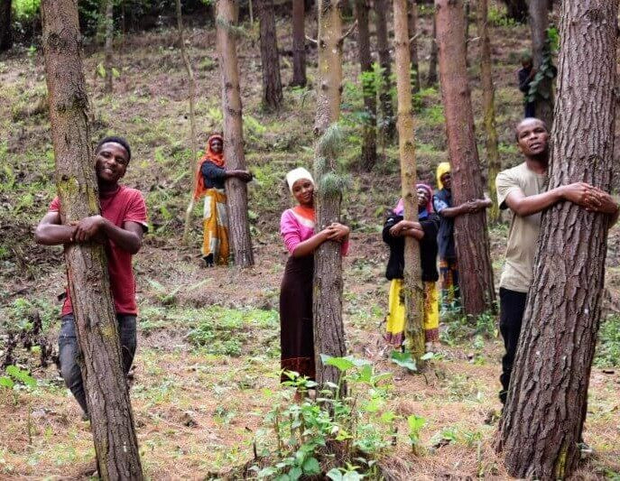 You Plant We Plant Tree Cup